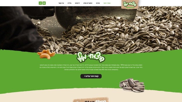 showcase - דוגמאות לאתרים Hello Web – 12